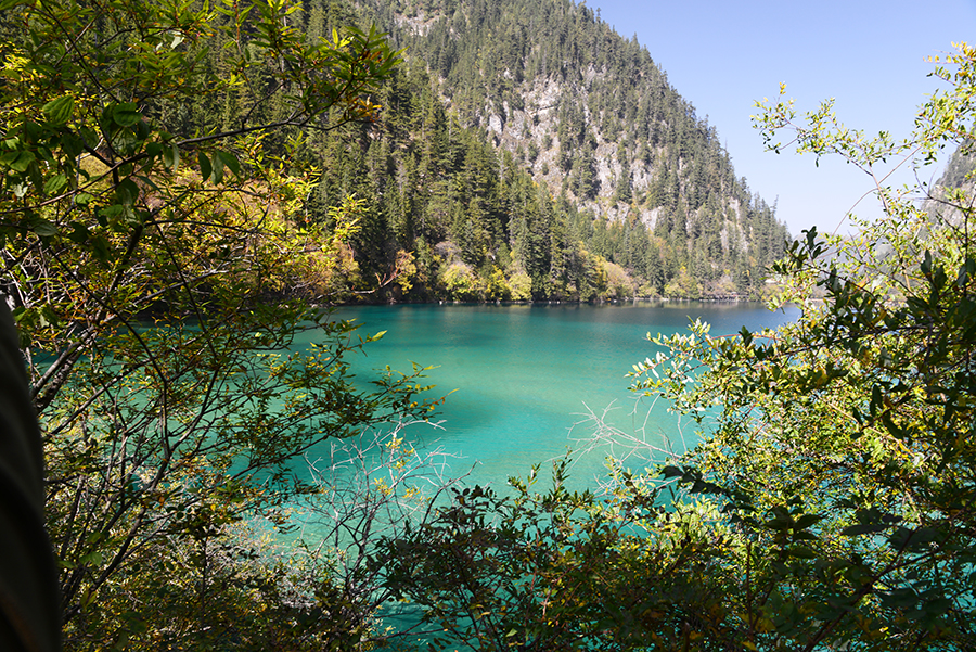 DSC_1602.JPG