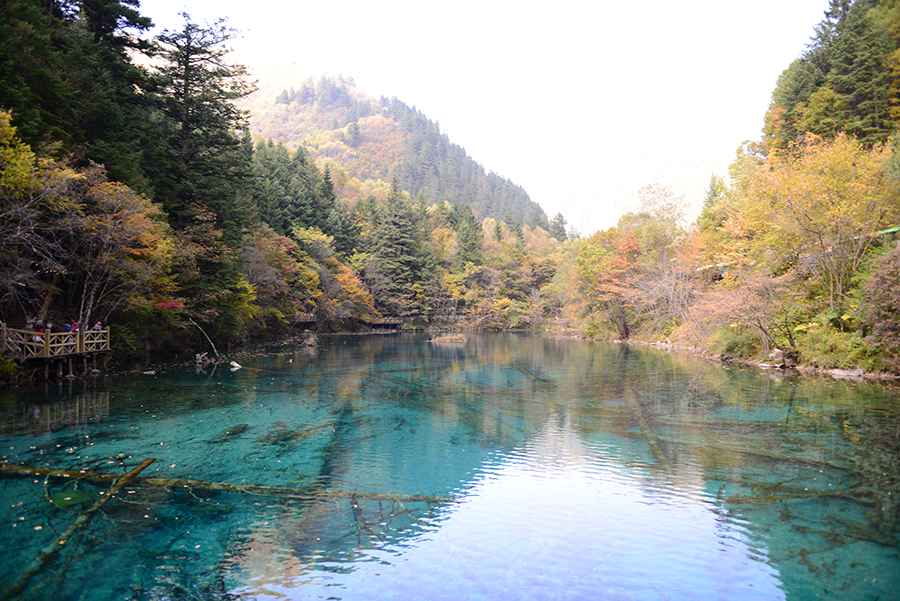 DSC_1766.JPG