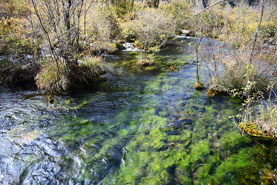 DSC_1773.JPG