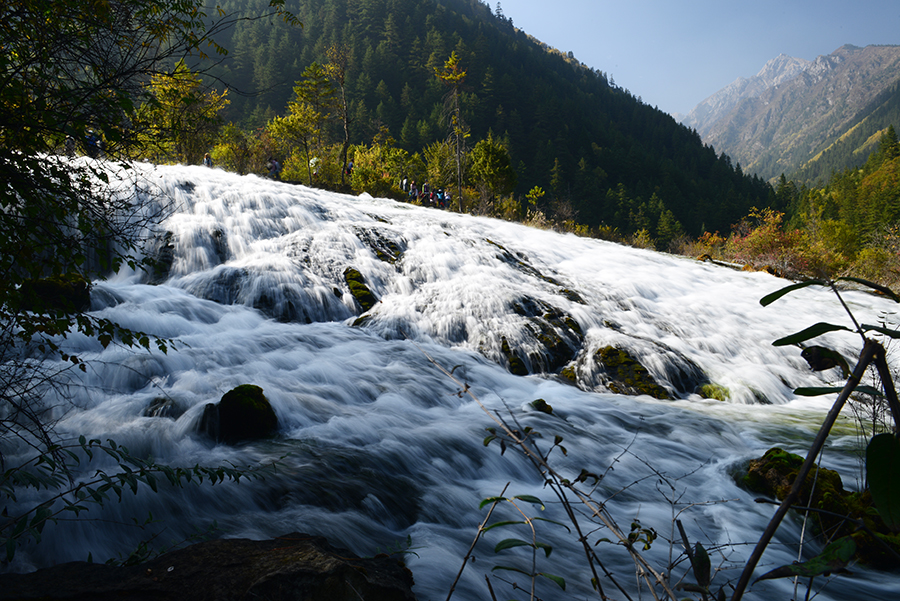 DSC_1779.JPG