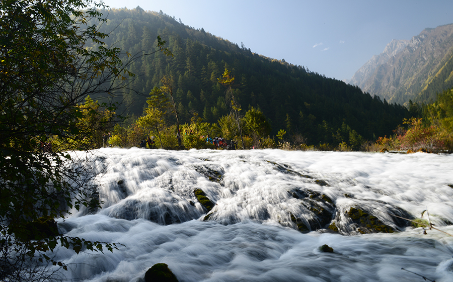 DSC_1794.JPG