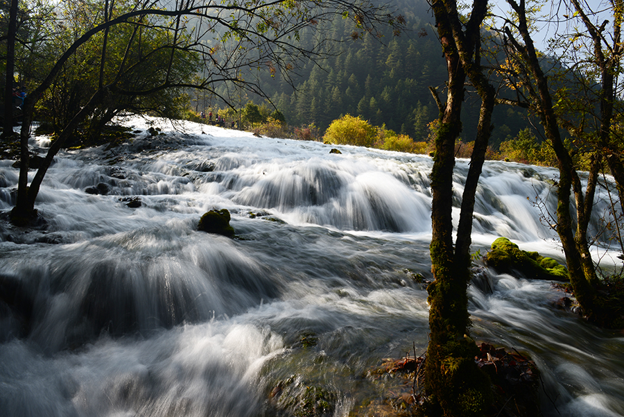 DSC_1797.JPG