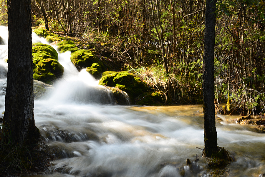 DSC_1821.JPG