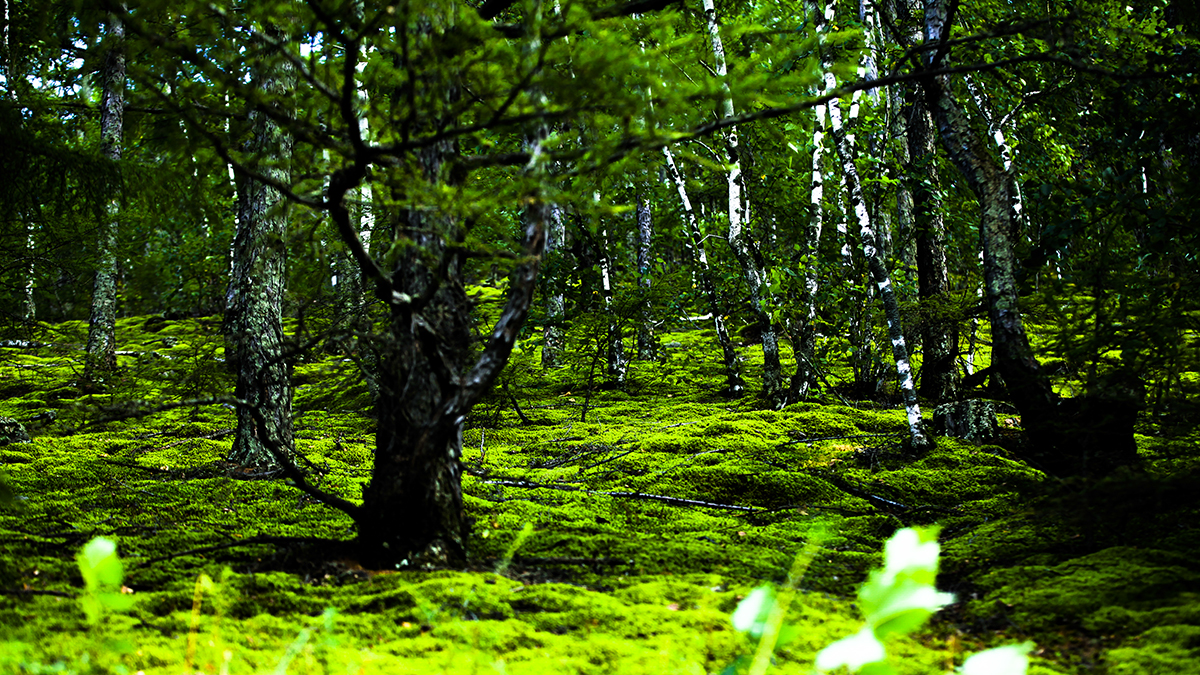 20130818_3905副本1 2.jpg