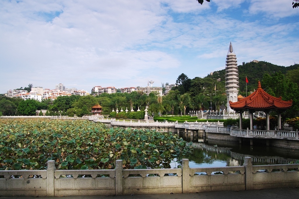 IMGP2569 (复制) (复制).JPG