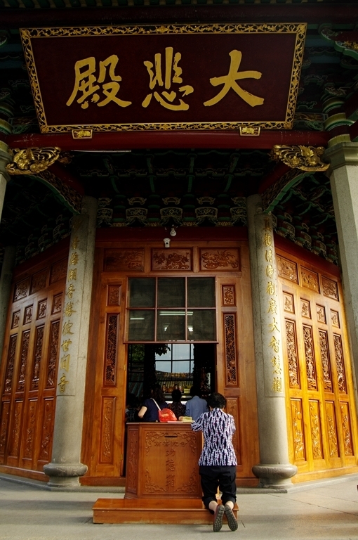 IMGP2574 (复制) (复制).JPG