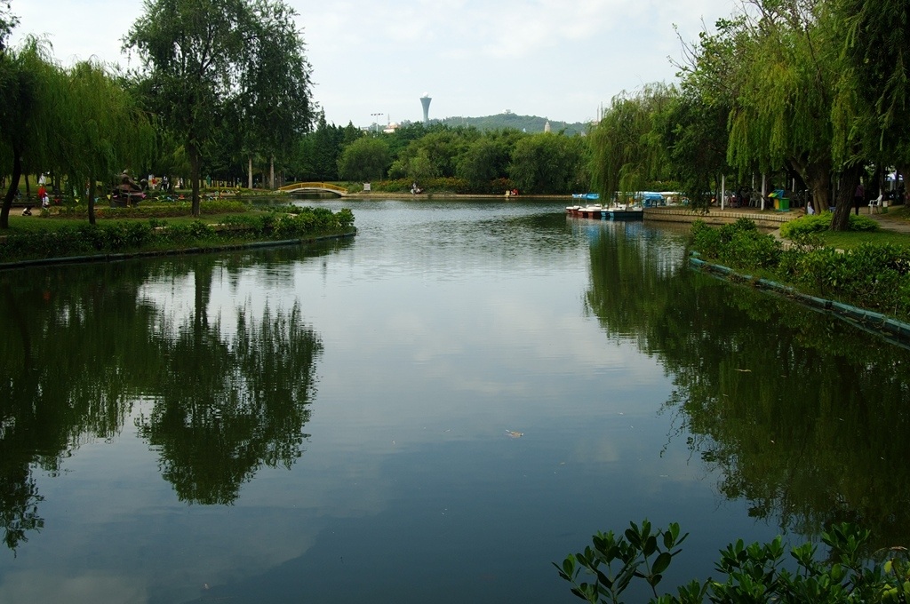 IMGP2642 (复制) (复制).JPG