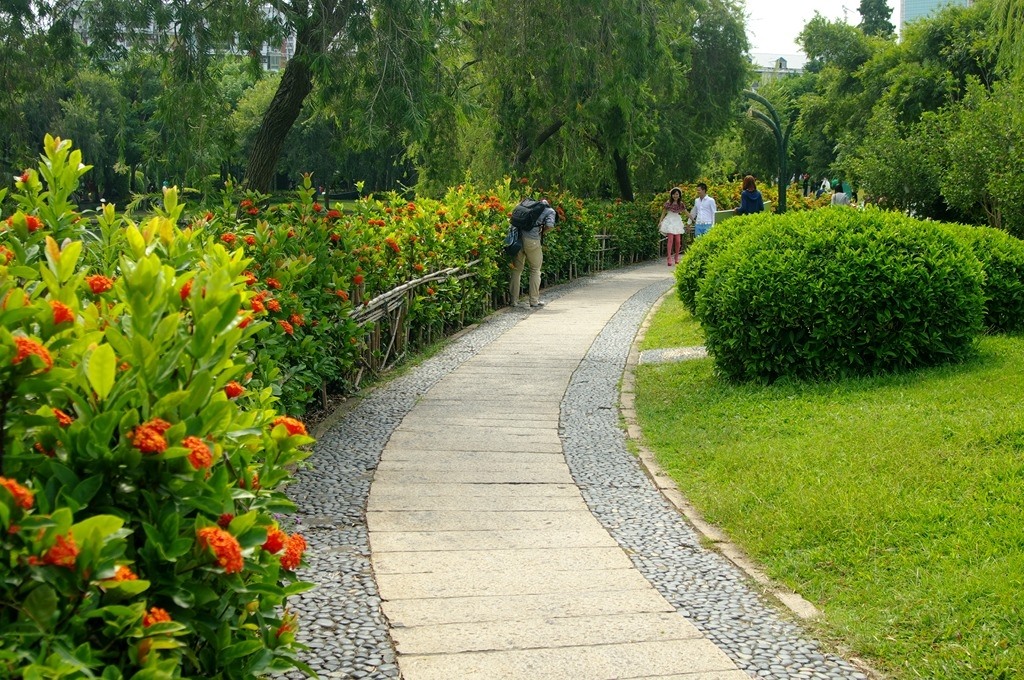 IMGP2648 (复制) (复制).JPG