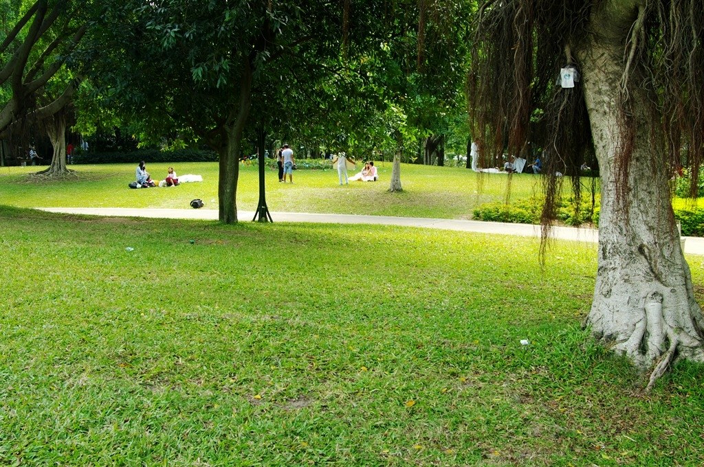 IMGP2661 (复制) (复制).JPG