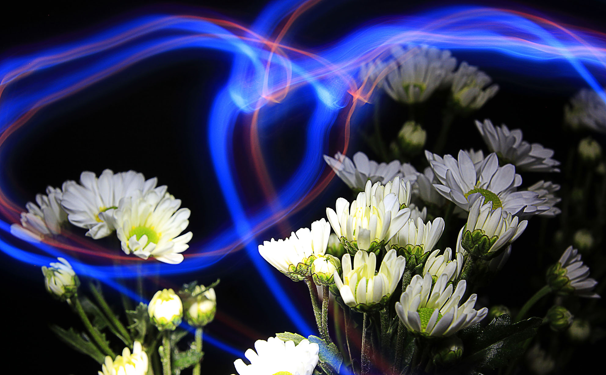 复件 _MG_9280副本.jpg