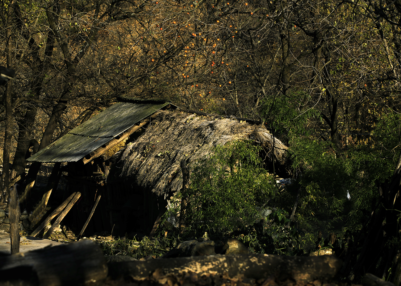 20131116_0477.jpg