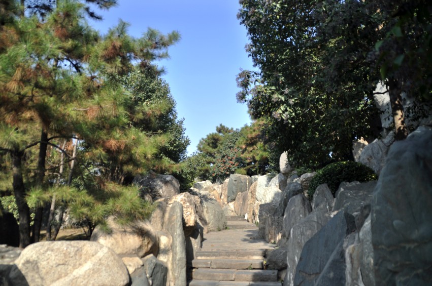 DSC_0022_conew1.jpg