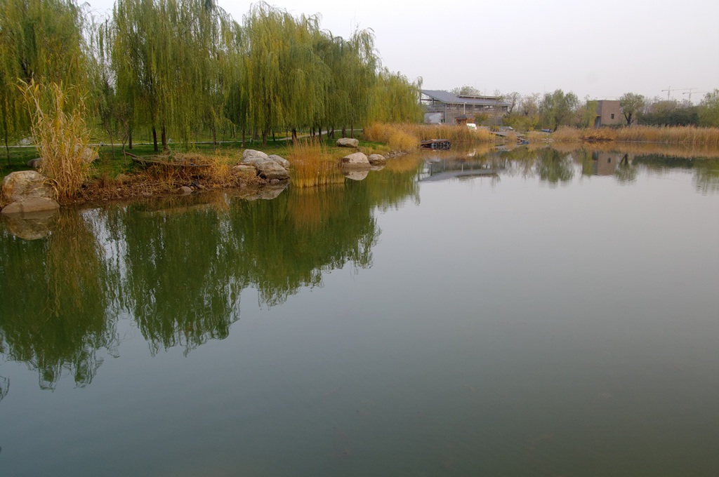 IMGP4496 (复制).jpg