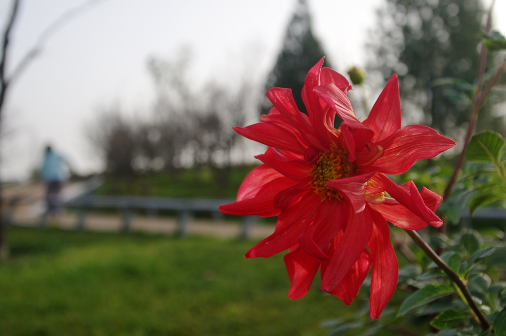 IMGP4562 (复制).jpg