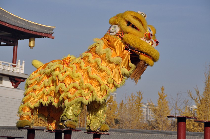 DSC_0079_conew1.jpg