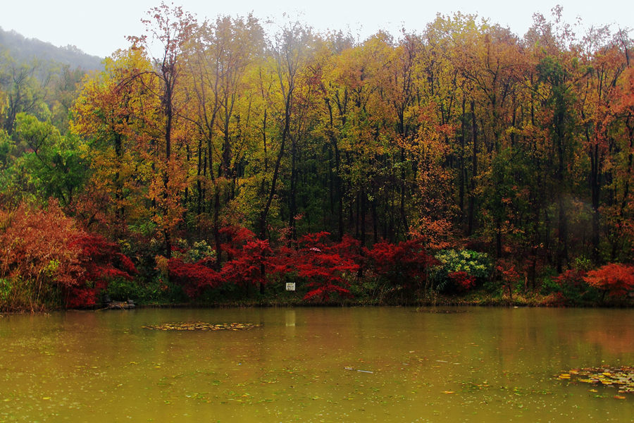 28-枫叶湖.JPG