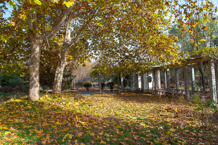 DSC_4652.jpg