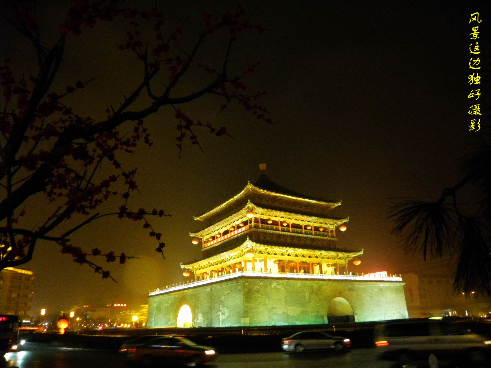 DSCN8713.JPG