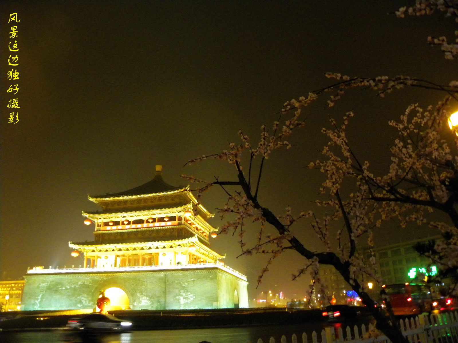 DSCN8707.JPG