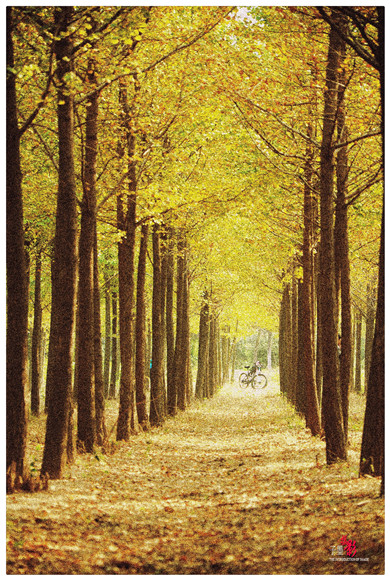 DSC_2502_副本_副本 - 副本.jpg