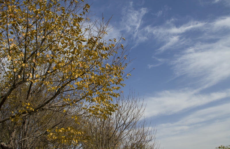 IMG_0015 (800x518).jpg