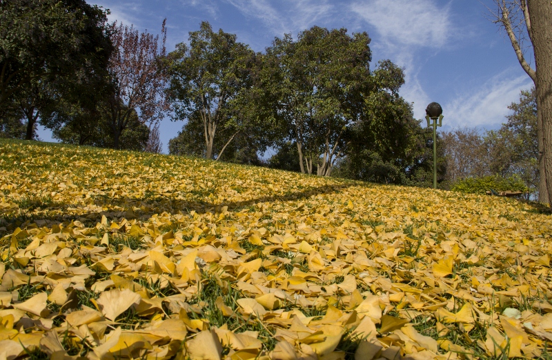 IMG_0029_1 (800x522).jpg