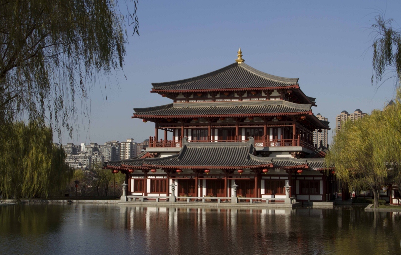 IMG_0055 (800x509).jpg