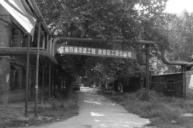 DSC01498.JPG