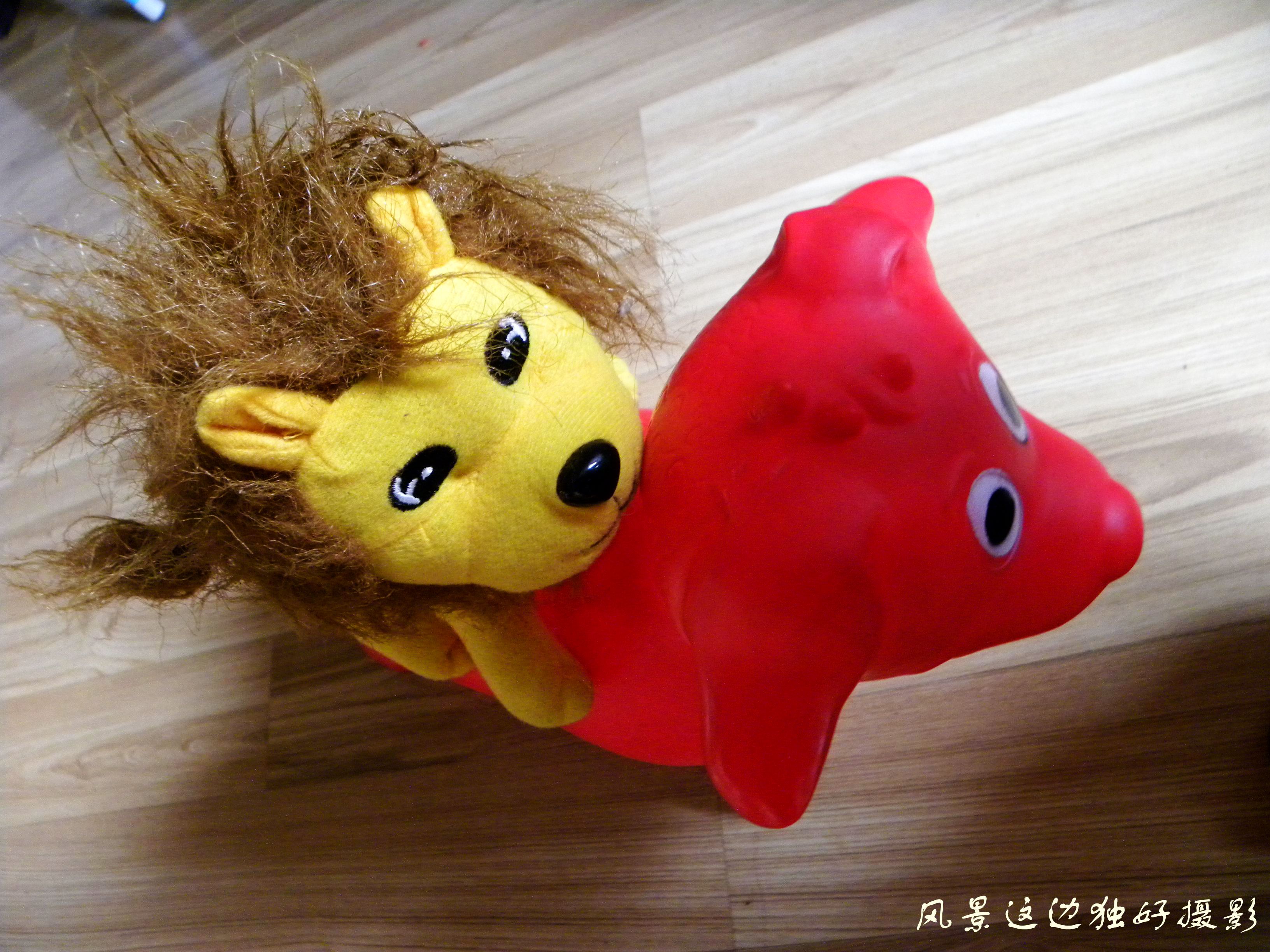 DSCN2785.JPG