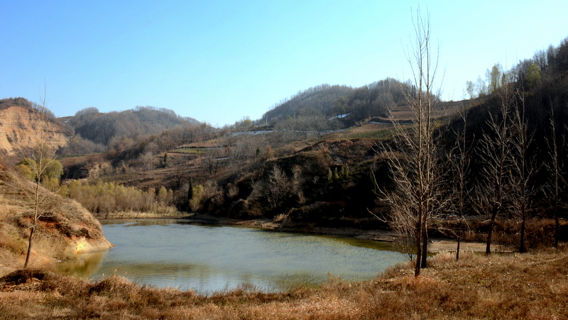 DSC_4248.JPG