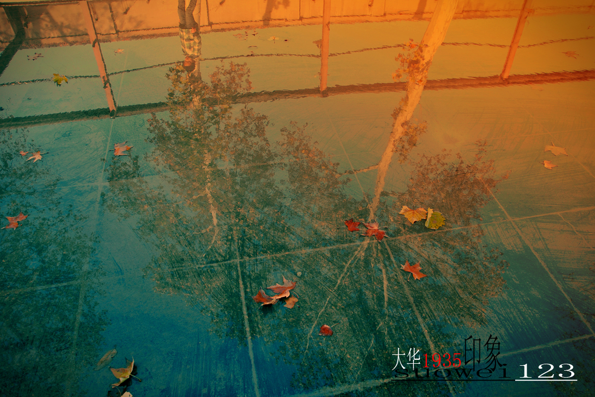 KXR_5478.jpg