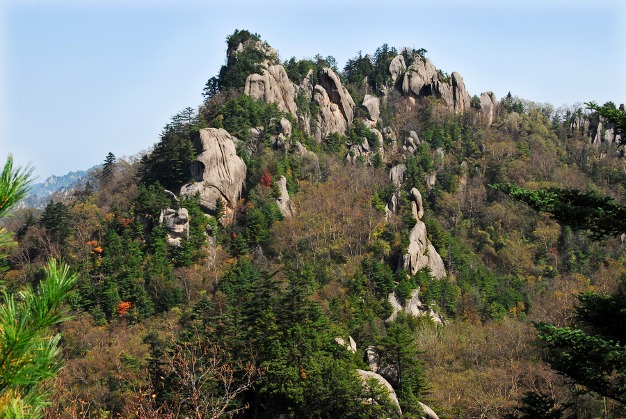 DSC_0153.JPG