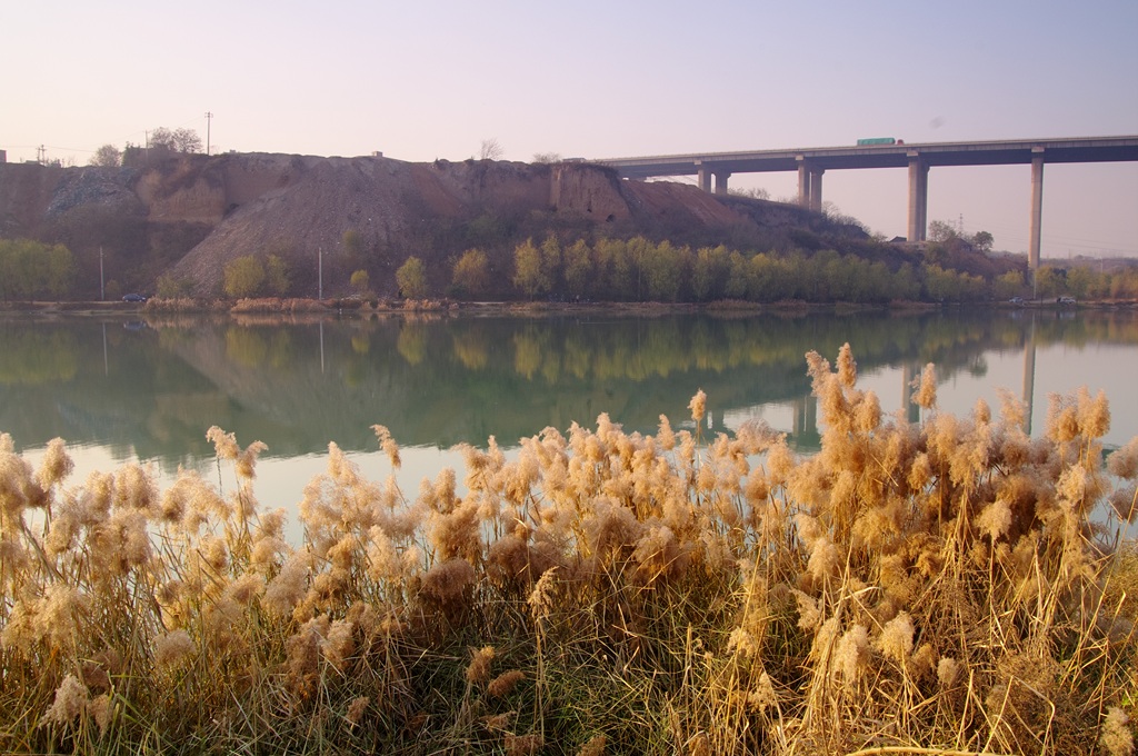 IMGP5963 (复制).jpg