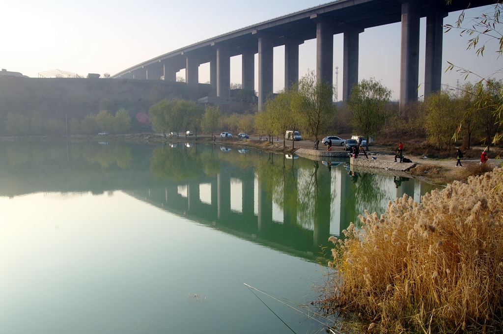 IMGP5972 (复制).jpg