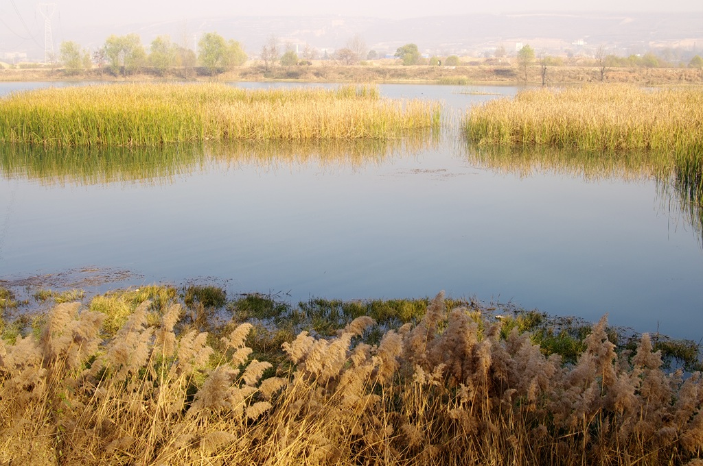 IMGP5939 (复制).jpg