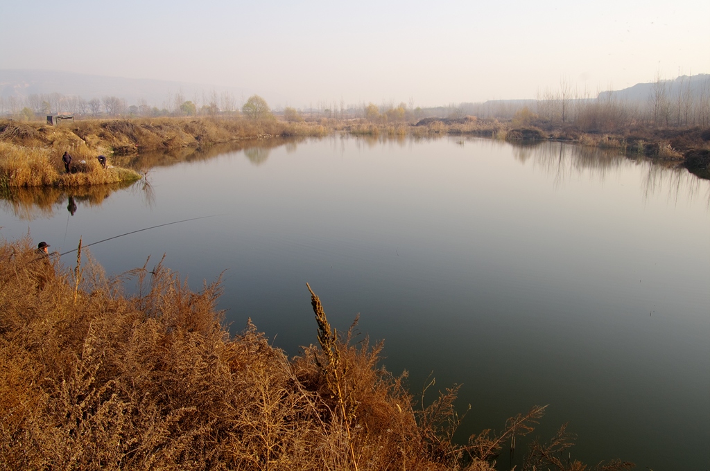 IMGP5951 (复制).jpg