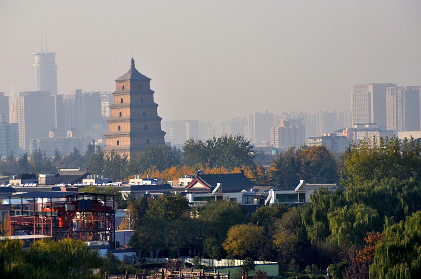 DSC_0191_conew1.jpg