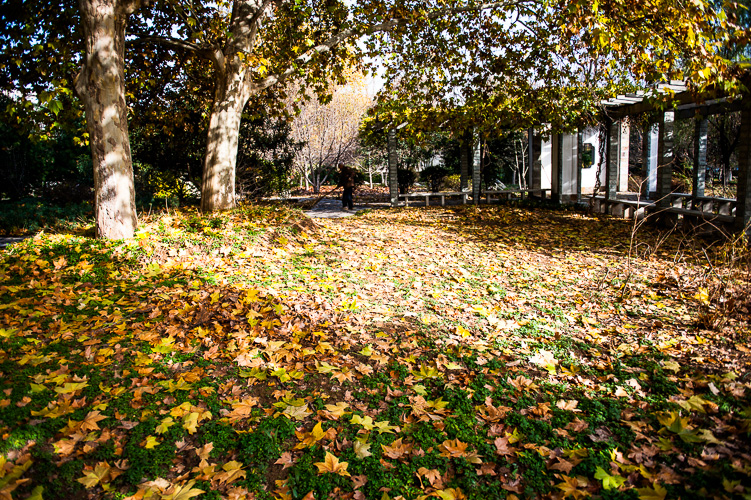DSC_4640.jpg