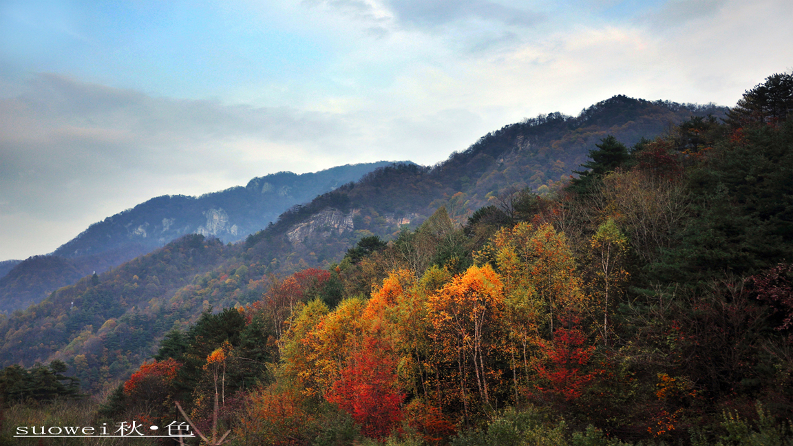 秋色 (5).jpg