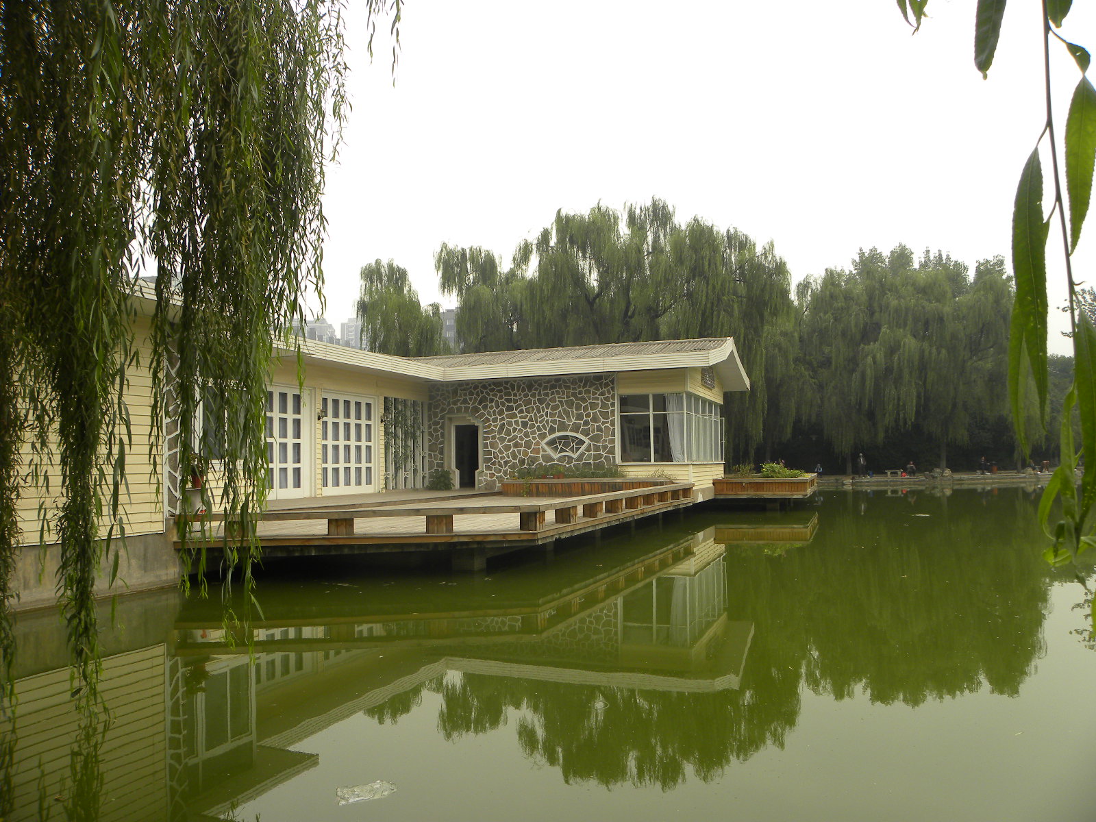 DSCN5949.JPG