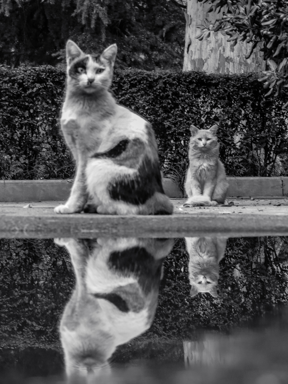 心理素质的体现