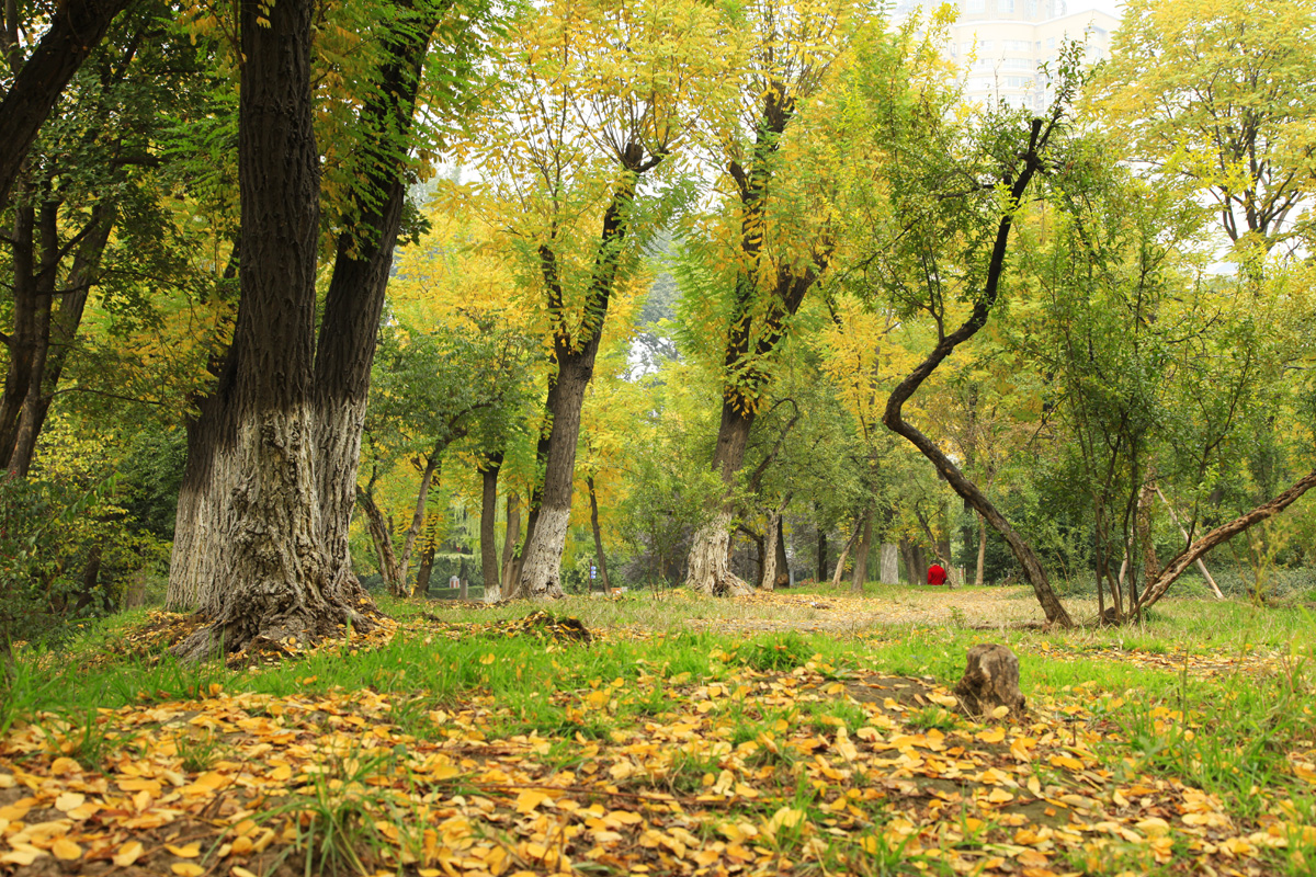 _MG_6348.jpg