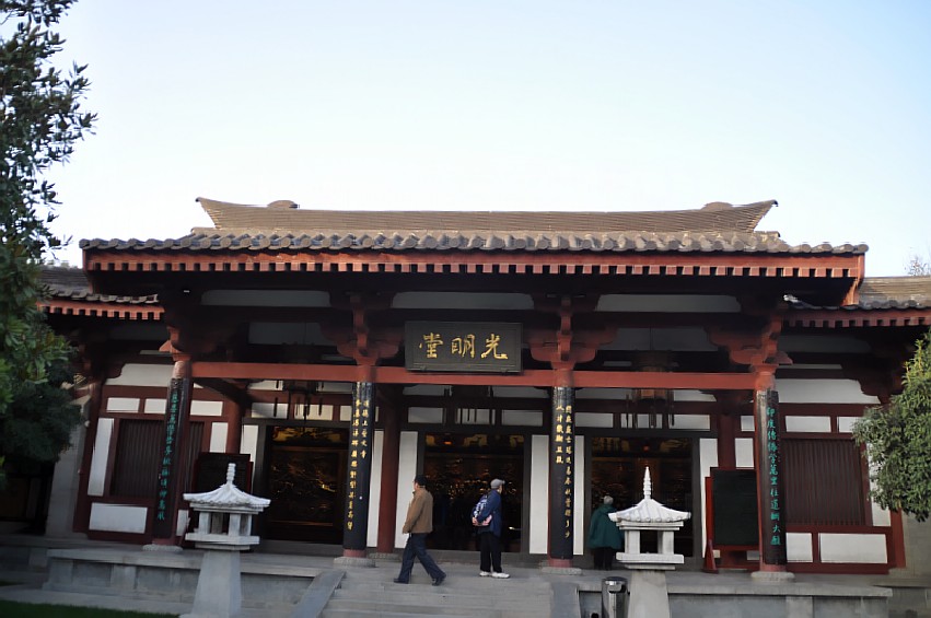 DSC_0270_conew1.jpg