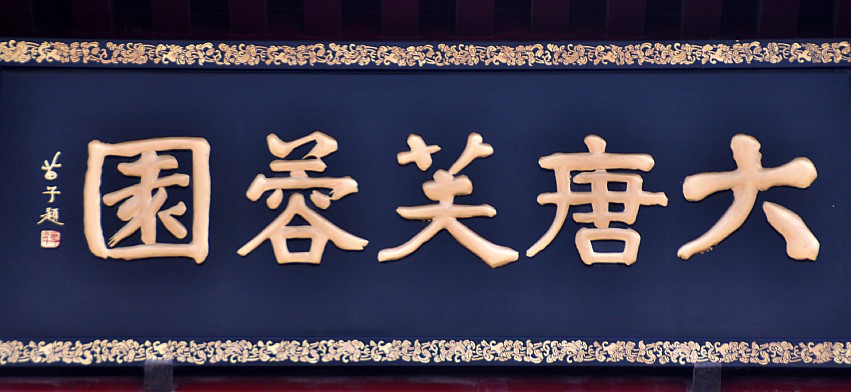 DSC_0001_conew1.jpg