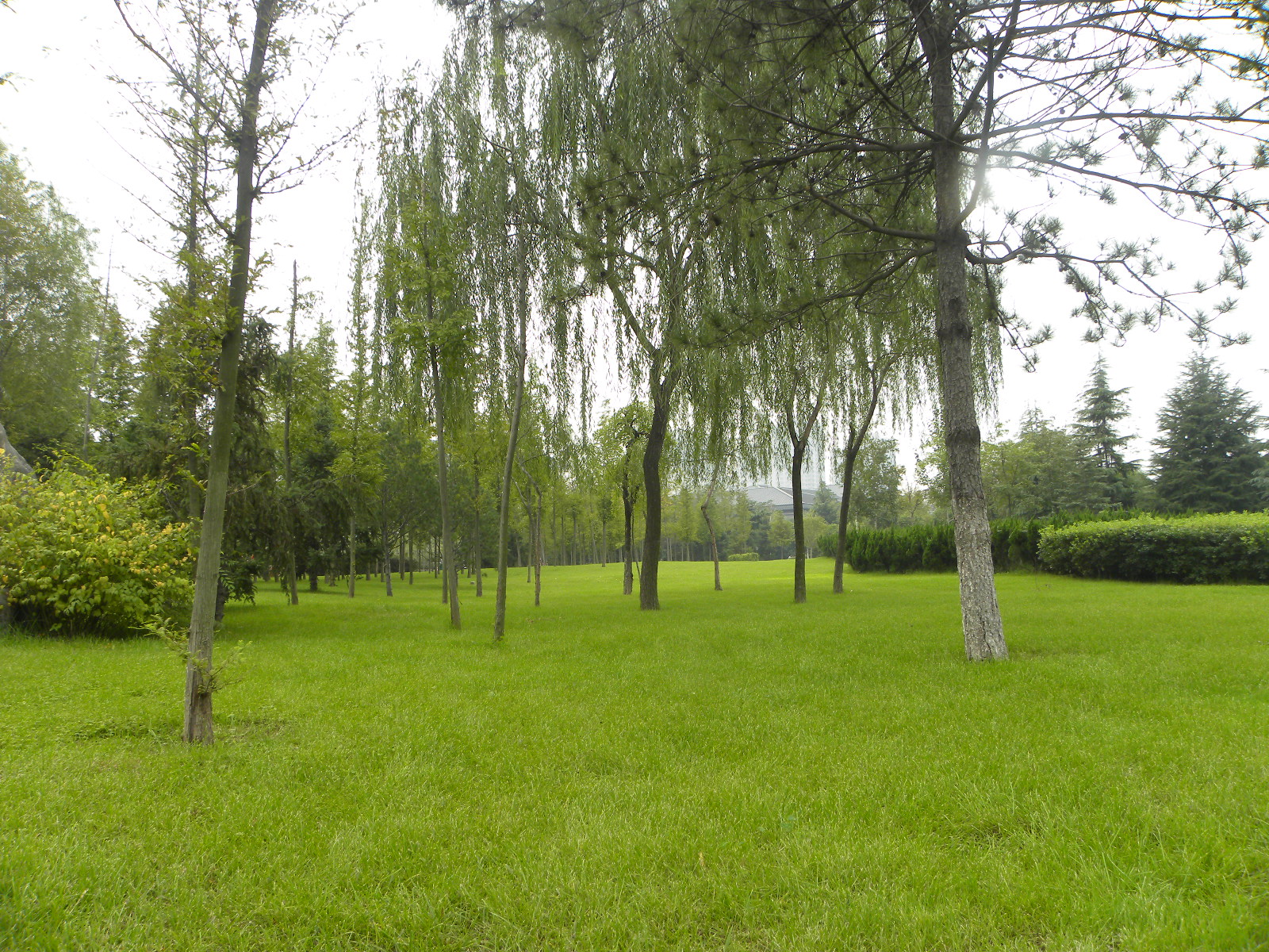 DSCN9800.JPG