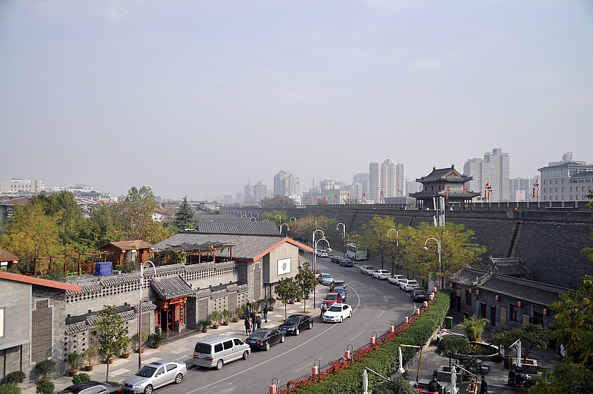 DSC_0033_conew1.jpg
