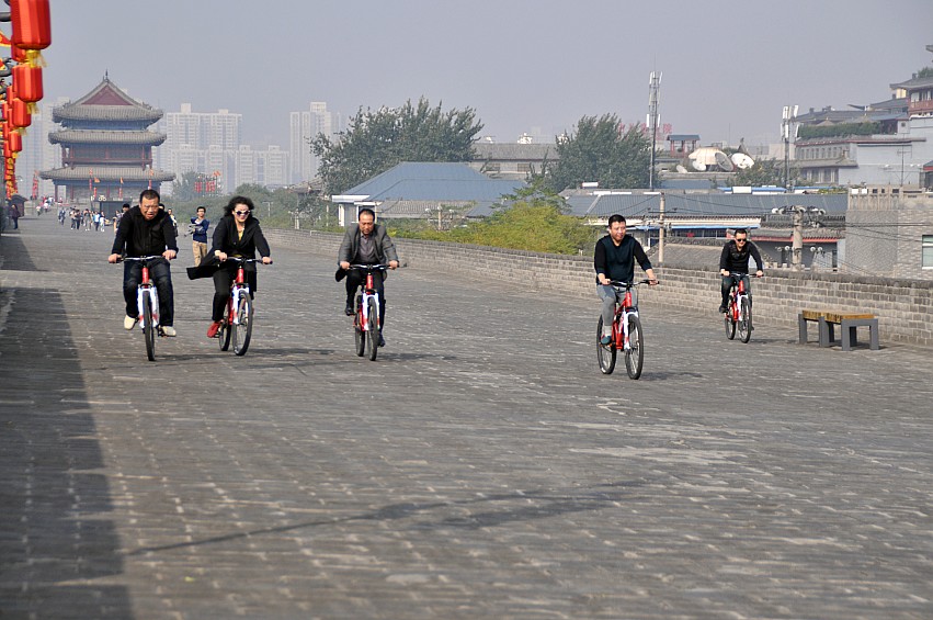 DSC_0042_conew1.jpg