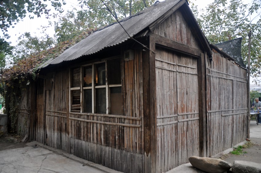 DSC_0154_conew1.jpg