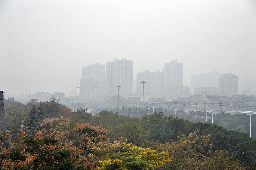 DSC_0194_conew1.jpg