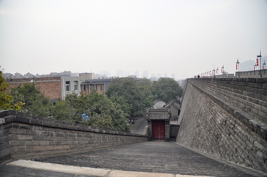 DSC_0198_conew1.jpg